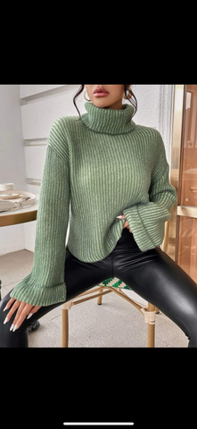 Ribbed Turtleneck Shirt