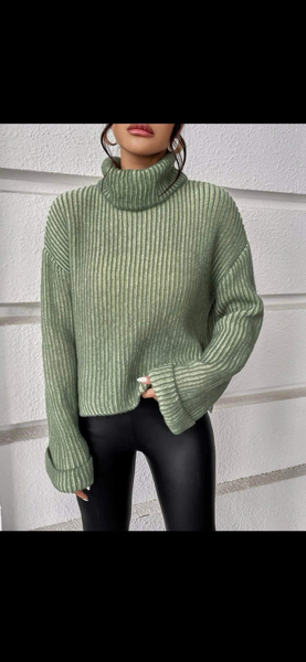 Ribbed Turtleneck Shirt