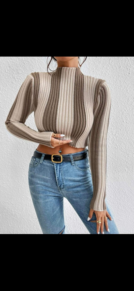 Multi-Nude Cropped Shirt