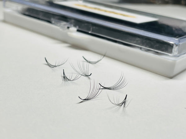 Volume Lash Fans C-Curl 8D