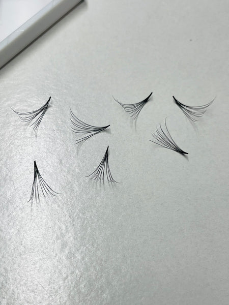 Volume Lash Fans C-Curl 8D